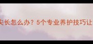 拉布拉多脸尖长怎么办5个专业养护技巧让狗狗更健康