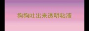 狗狗吐出来透明粘液