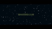 猫咪感冒呕吐拉稀