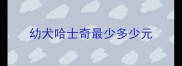 幼犬哈士奇最少多少元