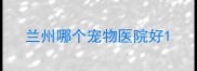 兰州哪个宠物医院好