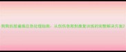 狗狗后肢瘫痪应急处理指南从创伤急救到康复训练的完整解决方案