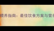 金毛幼犬四个月科学喂养指南最佳饮食方案与营养搭配完整攻略