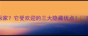 哈士奇有多能拆家它受欢迎的三大隐藏优点宠物日常养狗攻略