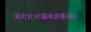 消炎针对猫咪的影响