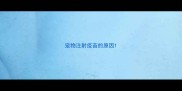 宠物注射疫苗的原因