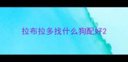 拉布拉多找什么狗配好