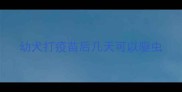 幼犬打疫苗后几天可以驱虫