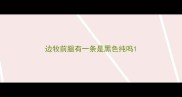 边牧前腿有一条是黑色纯吗