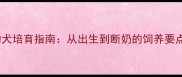 蓝色哈士奇幼犬培育指南从出生到断奶的饲养要点与注意事项