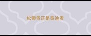 松狮贵还是泰迪贵
