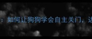 边牧与其他犬种关门训练全攻略如何让狗狗学会自主关门边牧vs金毛vs拉布拉多对比测评