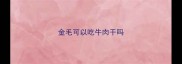 金毛可以吃牛肉干吗