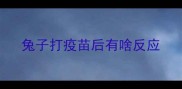 兔子打疫苗后有啥反应