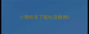 小狗吃多了呕吐没精神