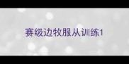 赛级边牧服从训练