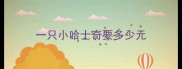 一只小哈士奇要多少元