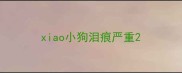 xiao小狗泪痕严重