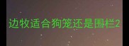边牧适合狗笼还是围栏