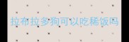 拉布拉多狗可以吃稀饭吗