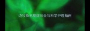 边牧换毛期症状全与科学护理指南