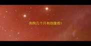 狗狗几个月有饱腹感