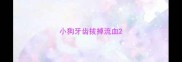 小狗牙齿拔掉流血