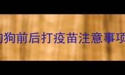 狗狗前后打疫苗注意事项