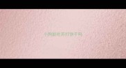 小狗能吃苏打饼干吗