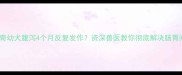 哈士奇幼犬腹泻4个月反复发作资深兽医教你彻底解决肠胃问题