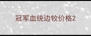 冠军血统边牧价格