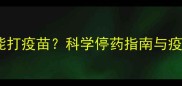 狗狗停药后多久能打疫苗科学停药指南与疫苗接种时间表全