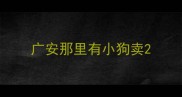 广安那里有小狗卖