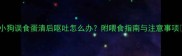 小狗误食蛋清后呕吐怎么办附喂食指南与注意事项