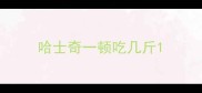 哈士奇一顿吃几斤