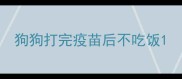 狗狗打完疫苗后不吃饭