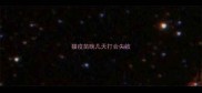 猫疫苗晚几天打会失效