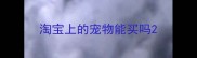 淘宝上的宠物能买吗