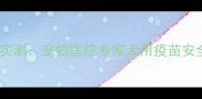 国产六联疫苗效果实测宠物医院专家犬用疫苗安全性及接种全指南
