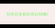 拉布拉多能吃西红柿嘛