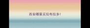 西安哪里买拉布拉多