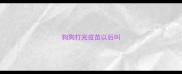 狗狗打完疫苗以后叫