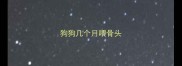 狗狗几个月喂骨头