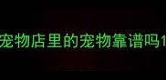 宠物店里的宠物靠谱吗