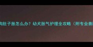 刚出生小狗肚子胀怎么办幼犬胀气护理全攻略附专业兽医指导