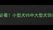 吉娃娃VS拉布拉多选狗必看小型犬VS中大型犬饲养全攻略附对比清单