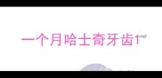 一个月哈士奇牙齿