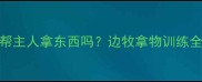 边牧会主动帮主人拿东西吗边牧拿物训练全攻略与行为