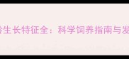 哈士奇不同月龄生长特征全科学饲养指南与发育关键期管理