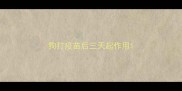 狗打疫苗后三天起作用